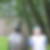 Profilbild von Winfried Fischer
