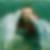 Profilbild von Frank Loose