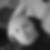 Profilbild von Michael Rattey
