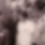 Profilbild von Rolf Günther
