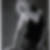 Profilbild von Anita Möller