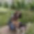 Profilbild von Birte Ehlers