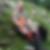 Profilbild von Christian Sauer