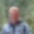 Profilbild von Gerhard Martin