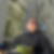 Profilbild von Michael Plottke