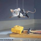 Profilfoto von Katja Rieger