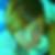 Profilbild von Sabine Wilkes