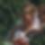 Profilbild von Michaela Knote