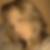 Profilbild von Franziska Meyer