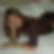 Profilbild von Pia Wagenbach