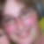 Profilbild von Claudia Ickert