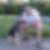 Profilbild von Harald Wergles