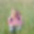 Profilbild von Anne Haase