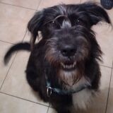 Profilfoto von Bärbel Röttger