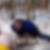Profilbild von Thomas Eigener