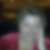 Profilbild von Angelika Lerm