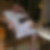 Profilbild von Joachim Pirtschack