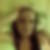 Profilbild von Annekatrin Sieder
