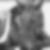 Profilbild von Katharina Loth