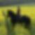 Profilbild von Bettina Christ