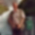 Profilbild von Uwe Becker