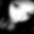 Profilbild von Laura Will