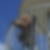 Profilbild von Jeannette Reh