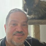 Profilfoto von Mehdi Rajabi
