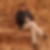 Profilbild von Klaus Maier