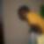 Profilbild von Awet Negha-Tekle