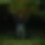 Profilbild von Carsten Amm