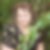 Profilbild von Veronika Steinmetz