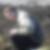 Profilbild von Masen Al Nahlaoui