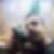 Profilbild von Karsten Thiebach
