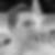 Profilbild von André Gentsch