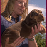 Profilfoto von Margaret Williams