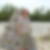 Profilbild von Grit Hinderland