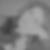 Profilbild von Ilka Klein