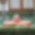 Profilbild von Ernst Dobler