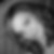 Profilbild von Vera Vogel