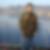 Profilbild von Peter Theobald