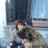 Profilfoto von Heike Steinbach