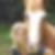 Profilbild von Sabine Fynnau Höltje