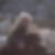 Profilbild von Margret Normann