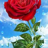 Profilfoto von James Han