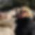 Profilbild von Kirsten Marotz
