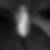 Profilbild von Stephanie Brandl