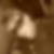 Profilbild von Natascha Heller