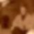 Profilbild von Rainer Kleespies