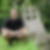 Profilbild von Andreas Mensch